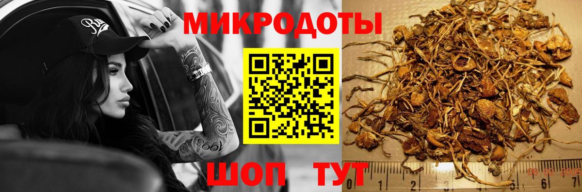 Галлюциногенные грибы ЛСД  Вход с VPN  Камышин 